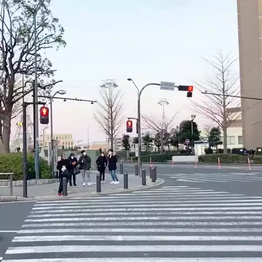 横断歩道