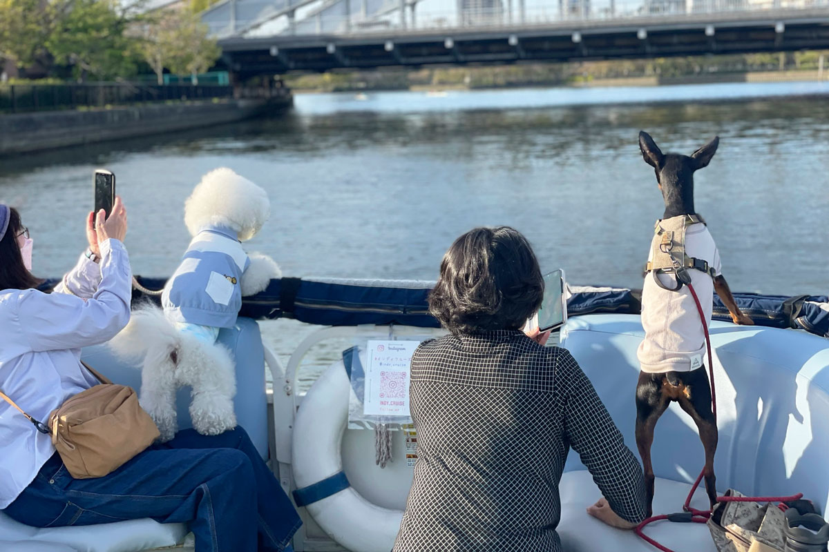 愛犬とクルーズ