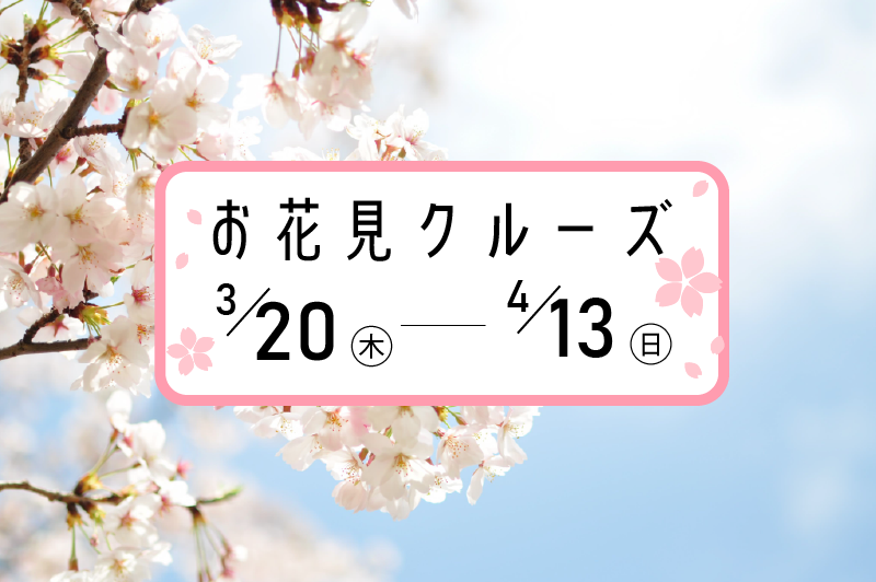 SAILS横浜店の「お花見クルーズ」